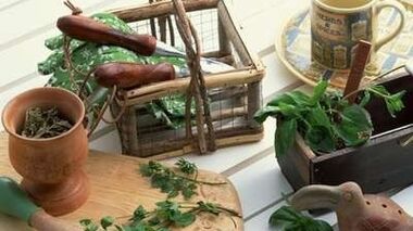 Folk remedies to increase potential