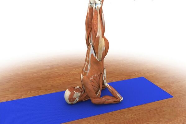 Strengthening exercise “Birch”